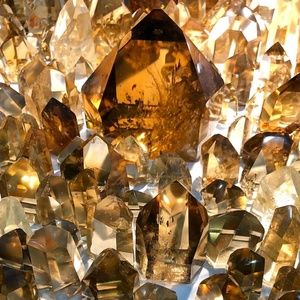 Meet your Posher, Crystal